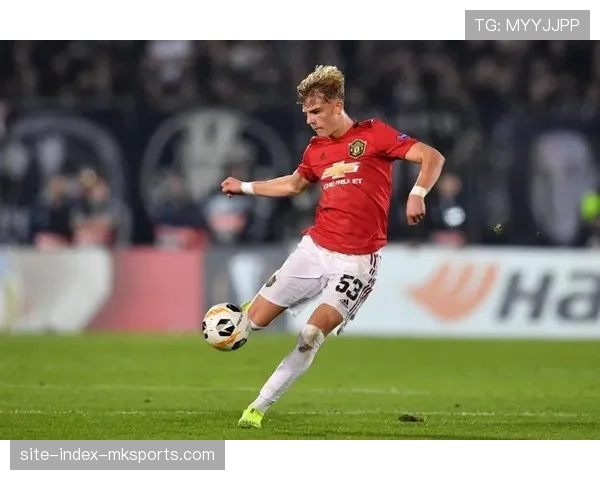 曼联后卫布兰登·威廉姆斯就被捕事件道歉，称愿承担全部责任